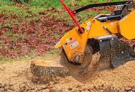 Best Lawn Renovation and Restoration  in Peppermill Village, MD